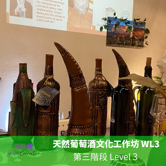 天然葡萄酒文化工作坊 第三階段 Level3 WL3